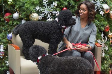 Michelle Obama avec Bo et Sunny, en décembre 2013.