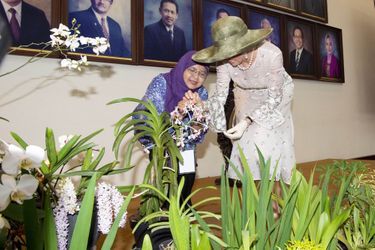 La reine Maxima des Pays-Bas à Yogyakarta, le 11 mars 2020