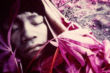 Jeune Wakatha u thëri, victime de la rougeole, soigné par des chamans et des aides-soignants de la mission catholique Catrimani, Roraima, 1976