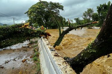 Un arbre remonte en-dessous d&#039;un pont pendant de fortes inondations dans la province de Loei en Thaïlande le 2 août 2020