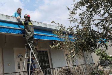 Un pompier aide une femme et son chien sur l&#039;île d&#039;Eubée en Grèce le 9 août 2020