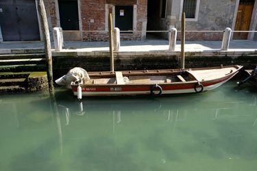 Les eaux de Venise sont redevenues limpides 