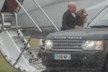 L'un de ses deux chiens lors de l'arrivée de la reine Elizabeth II en Ecosse, le 4 août 2020