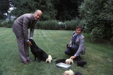 Valéry Giscard d'Estaing avec son chien et des petit chiots dans le parc de l'Elysée en 1981. 