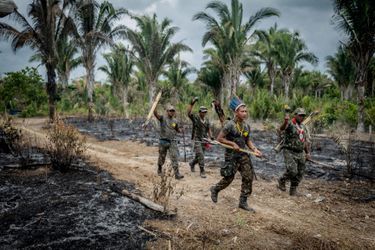 Tenues de camouflage et parures tribales, ces Gardiens, de la tribu des Guajajara, rentrent de patrouille. Leur mission : repérer des braconniers et les livrer à la police. Dans la réserve de Caru (Etat du Maranhao, nord-est du Brésil). 