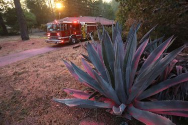 La végétation a été recouverte de produits retardateurs de flamme, près de Santa Rosa, samedi.