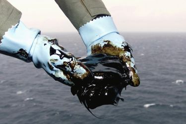 La marée noire provoquée par le naufrage du pétrolier Erika, en décembre 1999. 