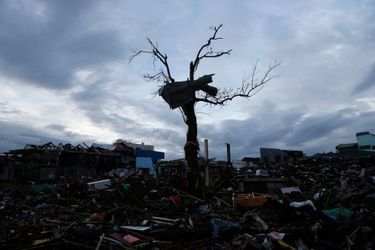Le 20 novembre, Tacloban dévastée par le typhon Yolanda.