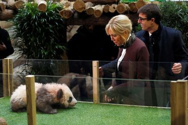 Le nom officiel du bébé panda né le 4 août, dont Brigitte Macron est la marraine, a été dévoilé lundi à Beauval.