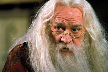 L’acteur irlandais est mort le 25 octobre 2002 à Fitzrovia en Angleterre de la maladie de Hodgkin entre les tournages du second et du troisième volet d’Harry Potter. Dans la suite des aventures du jeune sorcier, il est remplacé Michael Gambon. 