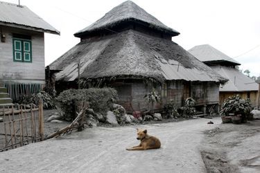 Sinabung : La colère du monstre  - Éruptions à Sumatra