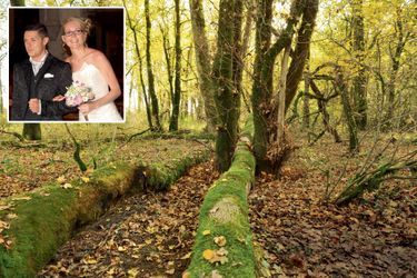 Dissimulé sous des branchages, le corps de la jeune femme a été retrouvé entre ces deux troncs, dans le bois d’Esmoulins. En médaillon : Alexia heureuse au bras de Jonathann, le jour de leur mariage en août 2015.