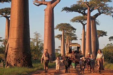 La célèbre allée des Baobabs de Morondava. De g. à dr. : Alexandre, Ulysse, 8 ans, Philaé, 11 ans, Sonia, Naza et Eric, les bouviers.