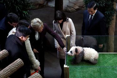 La cérémonie du baptême du petit panda de Beauval, en présence de sa marraine Brigitte Macron.