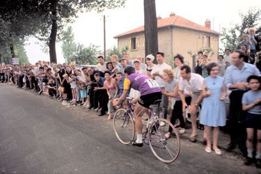 Raymond Poulidor,  Tour de France 1964.
