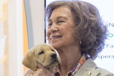 L'ex-reine Sofia d'Espagne avec un jeune chien-guide à Boadilla del Monte près de Madrid le 24 septembre 2015 