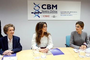 La reine Letizia d'Espagne et la reine Rania de Jordanie à Madrid, le 20 novembre 2015