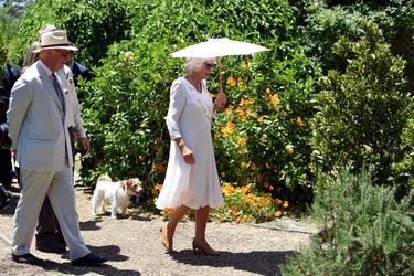 Le prince Charles et la duchesse de Cornouailles Camilla à Albany, le 14 novembre 2015