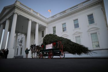 Le sapin de Noël est arrivé à la Maison Blanche, le 20 novembre 2017.