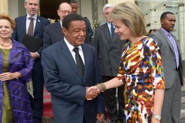 La reine Mathilde de Belgique en Ethiopie, le 12 novembre 2015