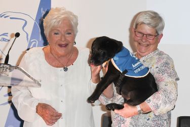Line Renaud (avec le chiot labrador qu'elle a baptisé Paris) remet un prix pour l’association Handi’chiens