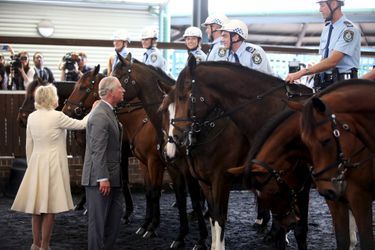 Le prince Charles et la duchesse de Cornouailles Camilla à Sydney, le 12 novembre 2015