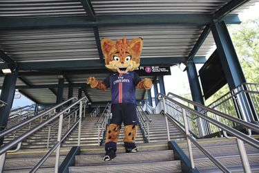 Germain le lynx, la mascotte du PSG, accompagnait l'équipe aux Etats-Unis cet été.