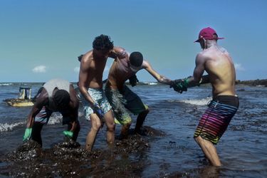 Everton Miguel dos Anjos, 13 ans, ainsi que des centaines de bénévoles, ont tenté de nettoyer la plage d&#039;Itapuama, à Cabo de Santo Agostinho, dans l&#039;Etat du Pernambouc, souillée par le pétrole.
