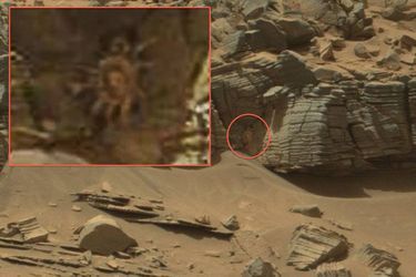 En médaillon, un zoom sur l&#039;hypothétique crabe alien photographié par Curiosity.