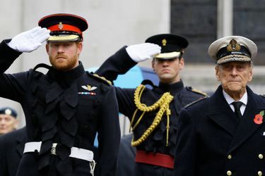 Les princes Harry et Philip devant Westminster Abbey à Londres, le 5 novembre 2015