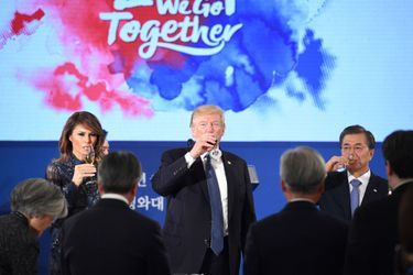 Melania et Donald Trump à la Maison Bleue, à Séoul, le 7 novembre 2017.