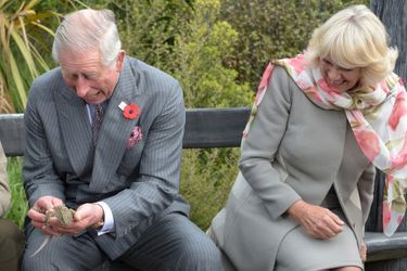 Le prince Charles et Camilla à l’écosanctuaire de Orokonui près de Dunedin, le 5 novembre 2015