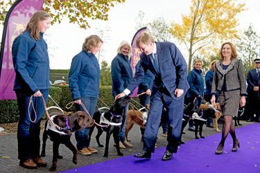Le roi Willem-Alexander des Pays-Bas à Amstelveen, le 4 novembre 2015