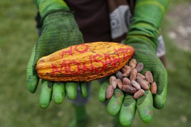 La société Monsanto est dans le collimateur de nombreux activites écologiques (photo d'illustration)