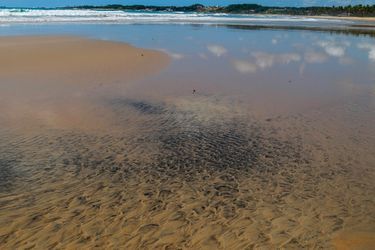Les galettes de pétrole, qui ont commencé à apparaître début septembre, ont été constatées sur au moins 2.000 km le long de la côte atlantique. Elles ont atteint à présent l&#039;ensemble des neuf Etats du nord-est brésilien, région pauvre réputée pour la beauté de ses plages.