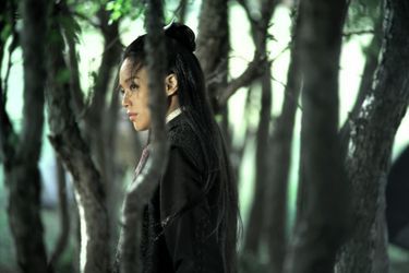 Shu Qi dans le magnifique "The Assassin".