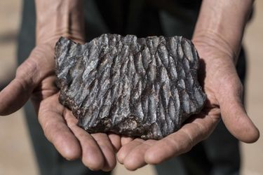 les météorites sont très lourdes à cause de leur densité en métaux. Ici, une orientite proposée par un revendeur d'Erfoud.