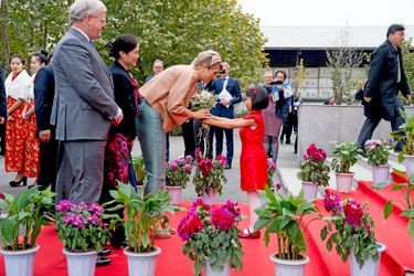 La reine Maxima des Pays-Bas à Pékin, le 25 octobre 2015