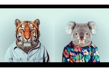 Le talentueux photographe espagnol Yago Partal a imaginé un zoo où les animaux seraient habillés comme des humains. Né en 1982 dans la région de Barcelone, le Catalan a beaucoup travaillé pour le cinéma, notamment comme concepteur visuel sur &quot;La Piel que habito&quot; de Pedro Almodovar et &quot;The Impossible&quot; de Juan Antonio Bayona. Voici les huit portraits les plus saisissants.