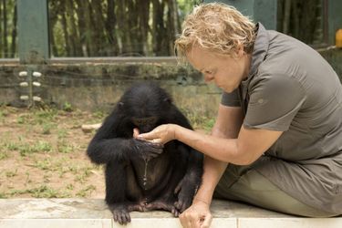 Muriel Robin sera au centre d’un documentaire dans lequel elle part à la rencontre des bonobos dans la jungle congolaise. 