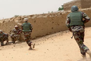L'offensive est lancée contre Boko Haram. 