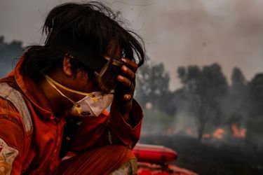 Depuis le début de l’année, 328 000 hectares de forêt ont été brûlés en Indonésie.