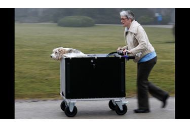Un femme pousse son chien dans un charriot à son arrivée au Crufts Dog Show de Birmingham, en Angleterre. Plus de 25 000 chiens y sont présentés.