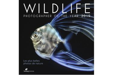 La couverture du prochain ouvrage du Wildlife Photographer of the Year 2019, édition Biotope.