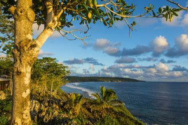 Le Chili et l’île de Niue ont décrété la protection de 750 000 km2 d’aires marines protégées. 