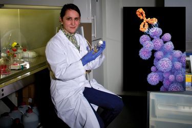 Le Dr Aurélie Juhem. En médaillon: anticorps monoclonal cetuximab (en orange) attaquant des cellules cancéreuses (en violet). Cetuximab est utilisé en chimio pour traiter le cancer.
