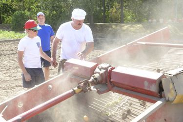 En vacances avec son fils Nikolaï, Alexandre Loukachenko ramasse des pommes de terre, le 17 août 2015