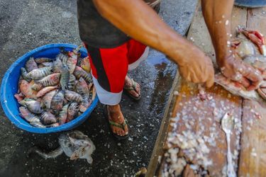 Les pêcheurs locaux au Nicaragua n&#039;en peuvent plus de la pollution présente dans le lac Managua.