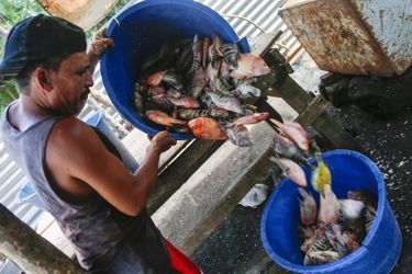 Les pêcheurs locaux au Nicaragua n&#039;en peuvent plus de la pollution présente dans le lac Managua.