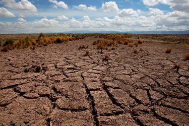 La terre craque sous l'effet de la sécheresse en Bolivie